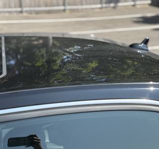 2011 Mercedes-Benz E-Class E550 Luxury - Photo 15