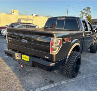 2010 Ford F-150 FX4 - Photo 6