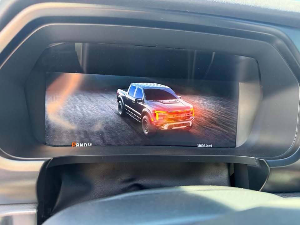 2025 Ford F-150 Raptor - Photo 11