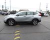 2019 Honda CR-V LX AWD