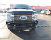 2019 Ford F-250 SD Crew Cab Platinum FX4 4WD