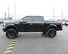 2015 Ford F-150 SuperCrew Platinum 4WD