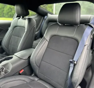 2025 Ford Mustang Dark Horse photo 14