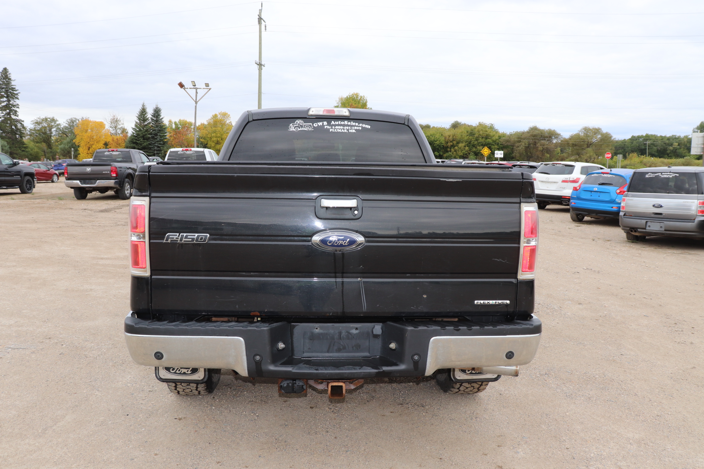 2013 Ford F-150 (R)(I)(6) XLT SuperCrew 6.5-ft. Bed 4WD - 7