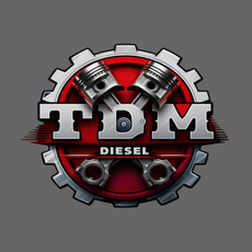 The Dominion Motors
