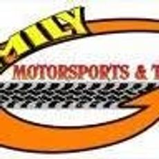 FAMILY MOTORSPORTS AND TOYS