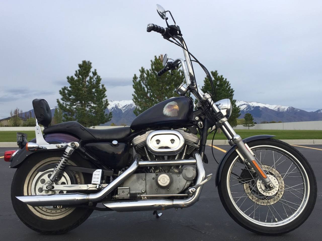 2002 Harley-Davidson XL883C