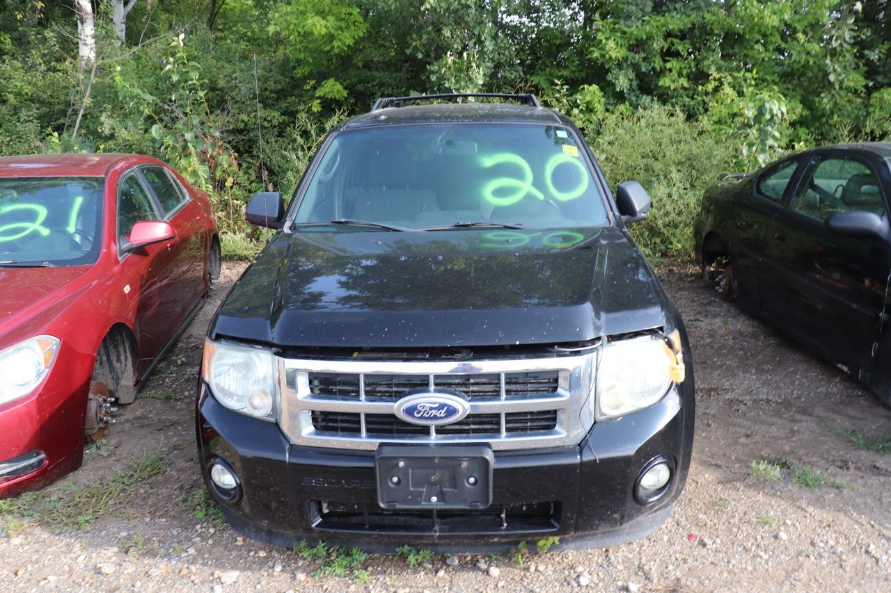 2010 Ford Escape XLT 4WD
