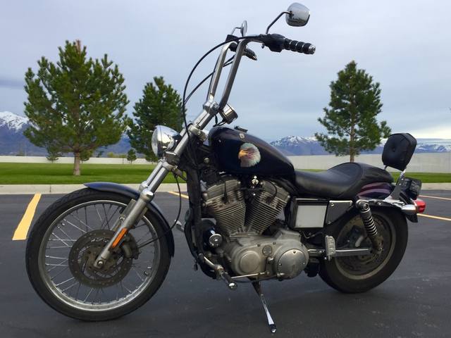 2002 Harley-Davidson XL883C