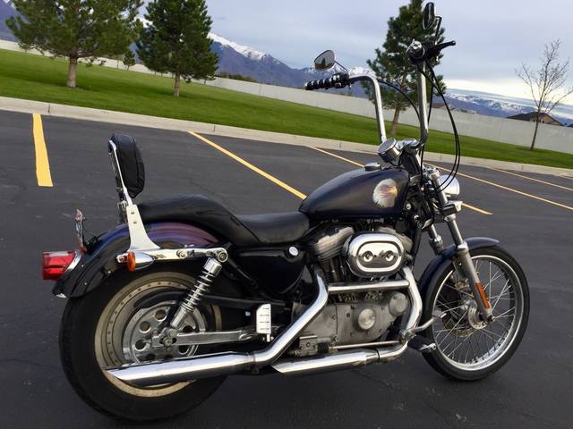 2002 Harley-Davidson XL883C