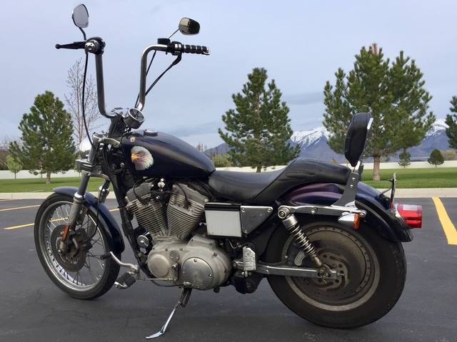 2002 Harley-Davidson XL883C