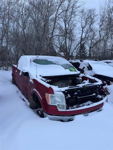 2009 Ford F-150 XLT SuperCrew 5.5-ft. Bed 4WD