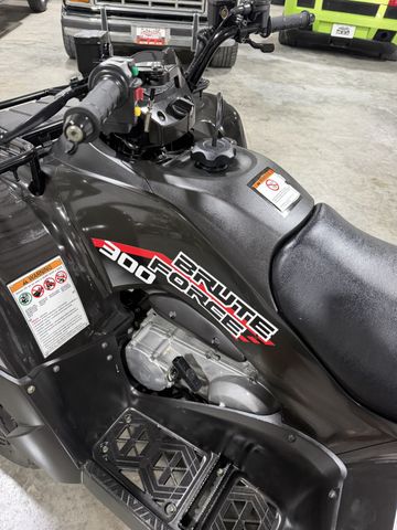 2023 Kawasaki Brute Force 300