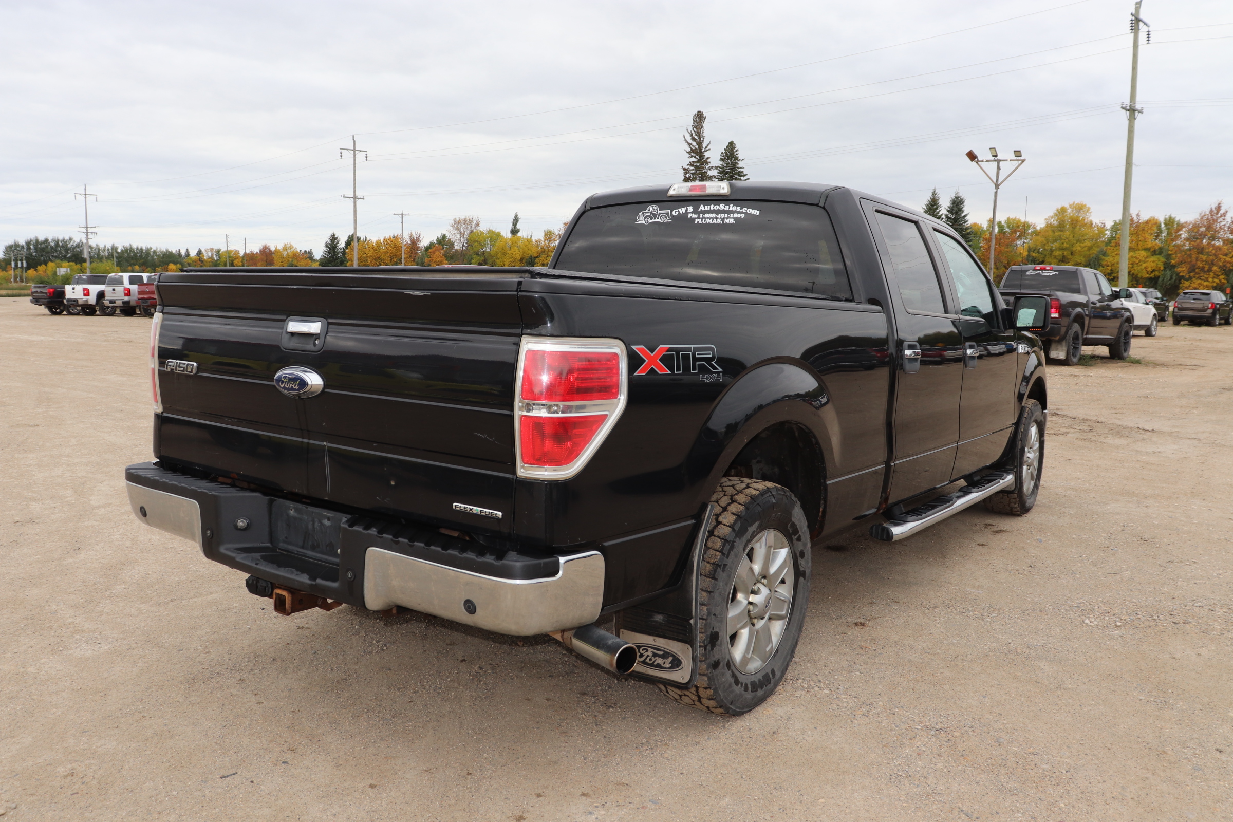 2013 Ford F-150 (R)(I)(6) XLT SuperCrew 6.5-ft. Bed 4WD - 8